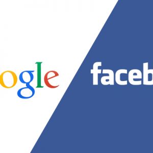 Google Ads/Facebook Ads Consultation